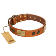 "Bronze Century" FDT Artisan Tan Leather English Pointer Collar with Plates and Brooches with Cool Ornament
