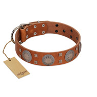 "Sun Rise Noon" FDT Artisan Tan Leather English Pointer Collar with Unique Design