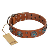 "Blue Sands" FDT Artisan Tan Leather English Pointer Collar with Silver-like Studs and Round Conchos with Stones