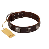 "Nut-Brown Finery" Embellished FDT Artisan Brown Leather English Pointer Collar with Chrome Plated Crossbones and Plates
