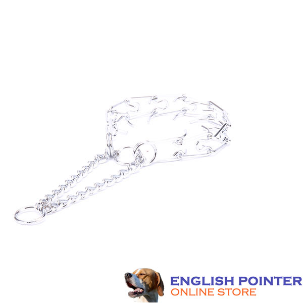 Prong collar chrome plated for ill behaved canines
