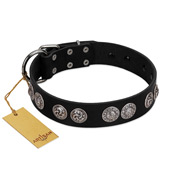 "Magic Amulete" Handcrafted FDT Artisan Black Leather English Pointer Collar with Chrome-Plated Shields
