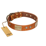 "Ancient Treasures" FDT Artisan Tan Leather English Pointer Collar with Antiqued Plates and Studs