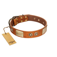 "Perfect Blend" FDT Artisan Tan Leather English Pointer Collar 1 1/2 inch (40 mm) wide