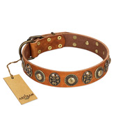 "Golden Epoch" FDT Artisan Tan Leather English Pointer Collar with Old Bronze-plated Medallions and Conchos
