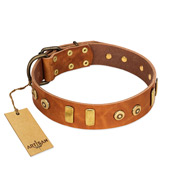 "Egyptian Script" FDT Artisan Tan Leather English Pointer Collar with Plates and Small Studs