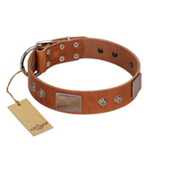 "Great Obelisk" Handcrafted FDT Artisan Tan Leather English Pointer Collar with Large Plates and Pyramids