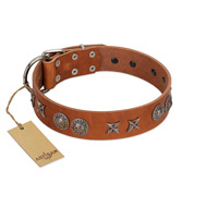 "Splendid Armor" Premium Quality FDT Artisan Tan Designer English Pointer Collar with Shields and Stars