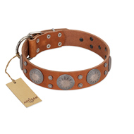 "Far Star" FDT Artisan Tan Leather English Pointer Collar with Engraved Studs