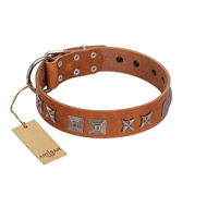 "Antique Figures" FDT Artisan Tan Leather English Pointer Collar with Silver-like Engraved Plates
