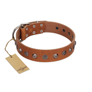 "Silver Age" Fashionable FDT Artisan Tan Leather English Pointer Collar with Silver-Like Studs