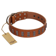"Silver Century" Fashionable FDT Artisan Tan Leather English Pointer Collar with Silver-Like Plates