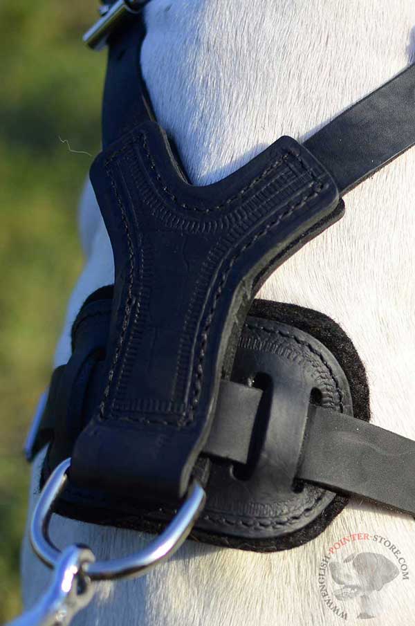 Back Plate of Leather English Pointer Harness