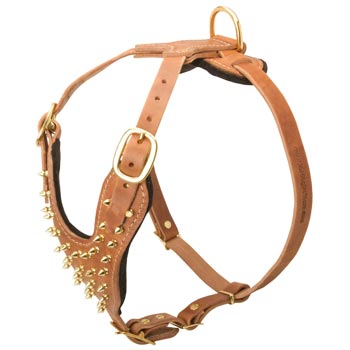 Walking Leather Harness for English Pointer