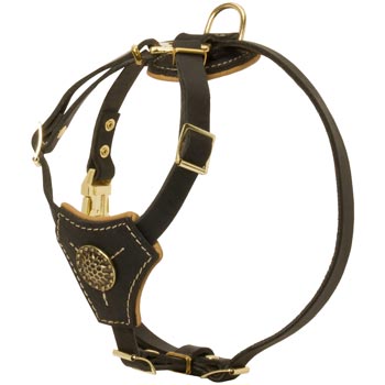 Walking Training Leather Puppy Harness for English Pointer