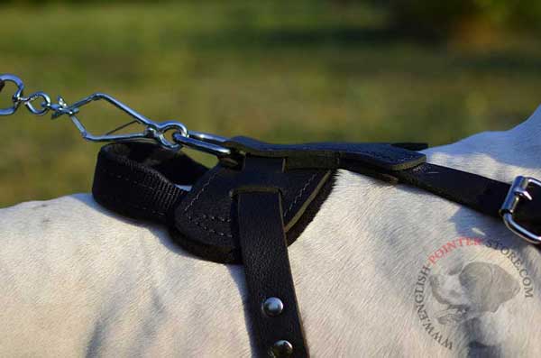 Leather English Pointer Harness with Strong Hardware
