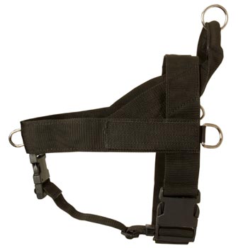 English Pointer Harness Nylon for Comfy Walking