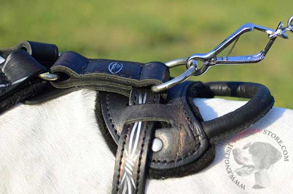 Leather English Pointer harness with comfy handle