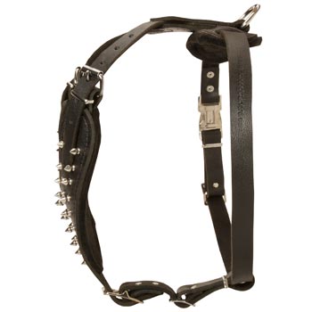 Adjustable Leather Harness for English Pointer