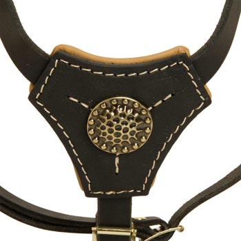Leather English Pointer Harness Fashion for Puppy