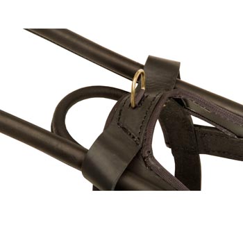 English Pointer Leather Guide Harness with ring for lead conncetion