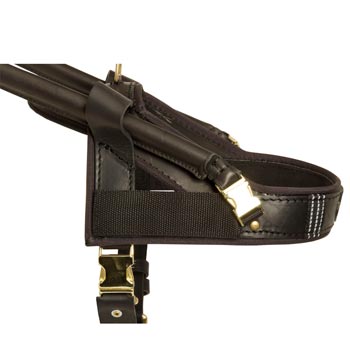 English Pointer Guide Harness Leather for Mobility Assistance