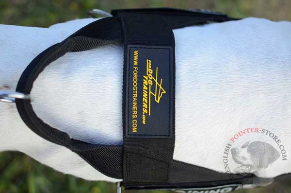 Comfy Nylon Handle of English Pointer Harness