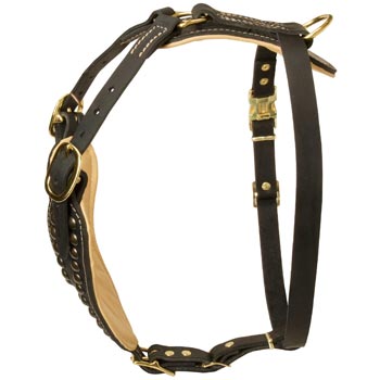 Custom Made Dog Harness for English Pointer