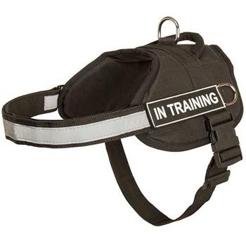 Nylon English Pointer Harness Multifunctional All-Weather Practical