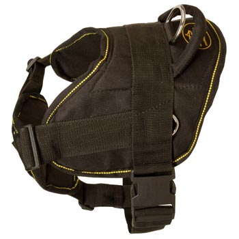 Tracking Nylon English Pointer Harness