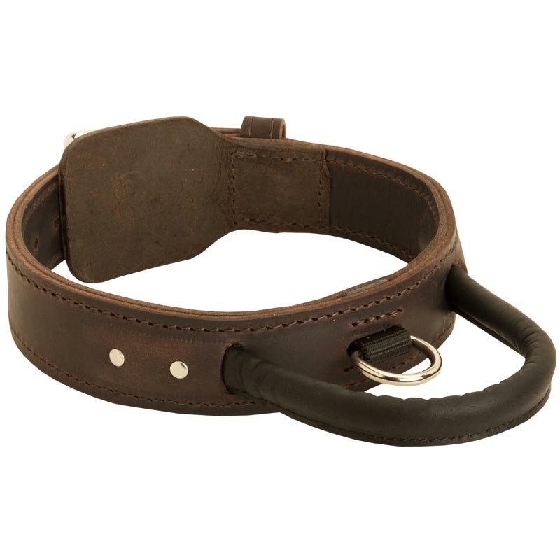 Extra Durable Leather English Pointer Collar with Handle for Attack Training