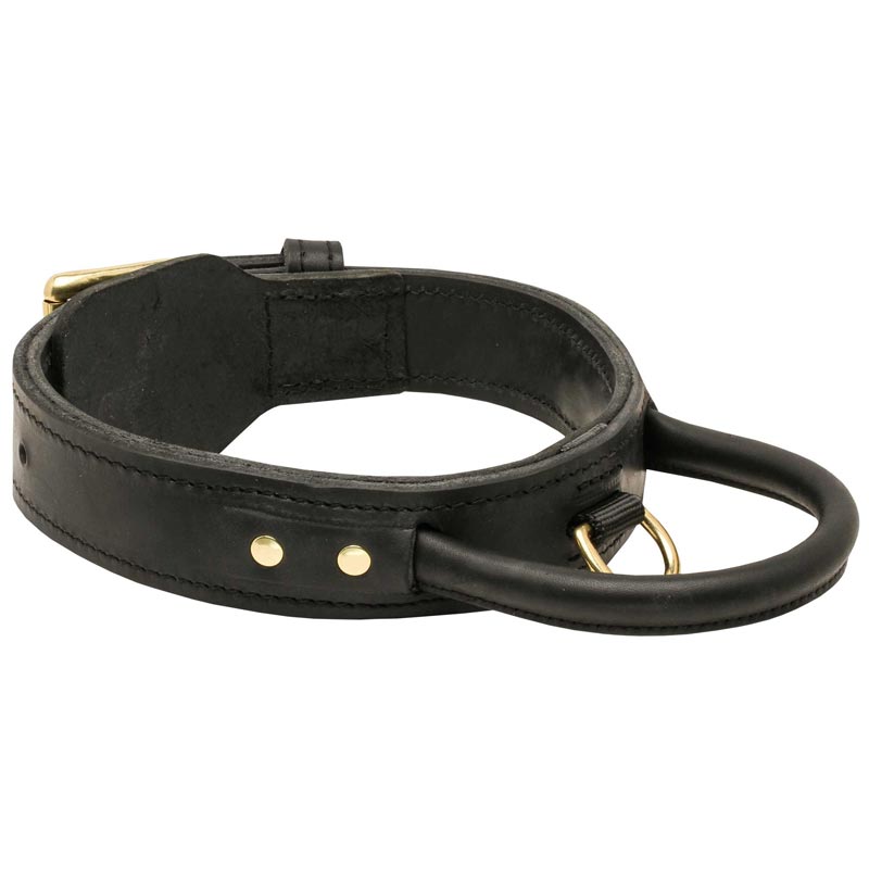 Extra Durable Leather English Pointer Collar with Handle for Attack Training