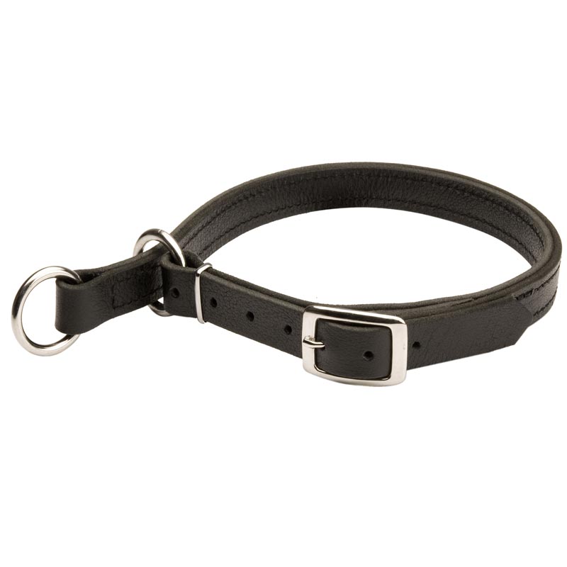 English Pointer Leather Choke Collar