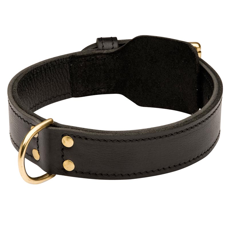 Training 2 Ply Leather English Pointer Collar