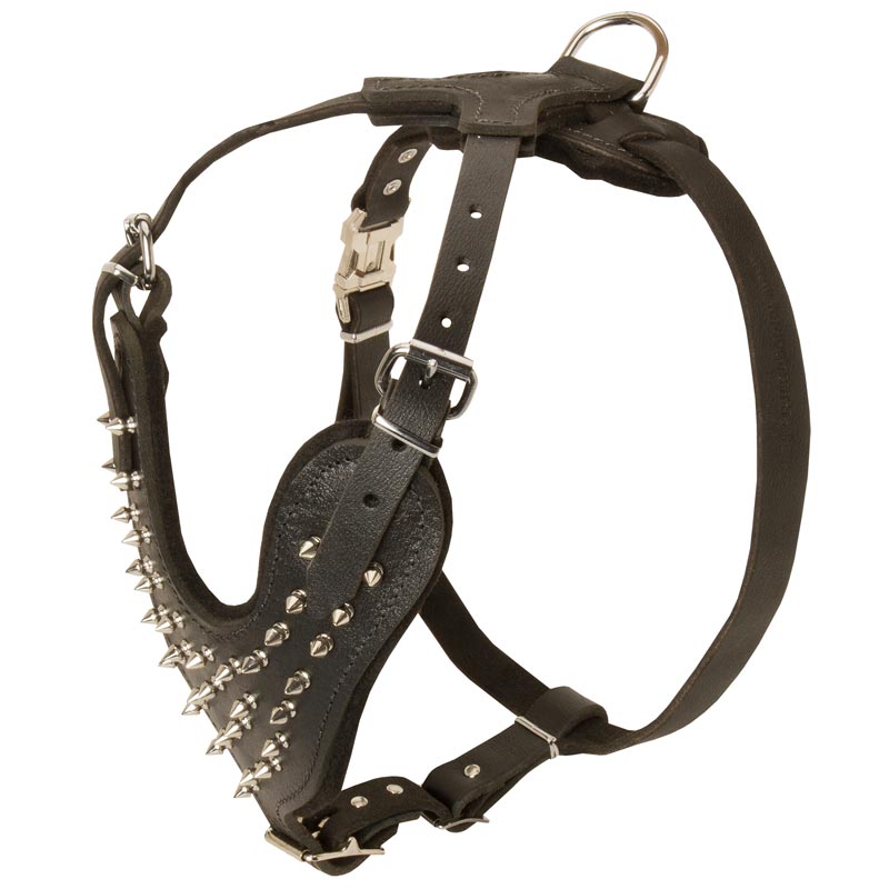 Spiked Leather English Pointer Harness for Fashionable Walking
