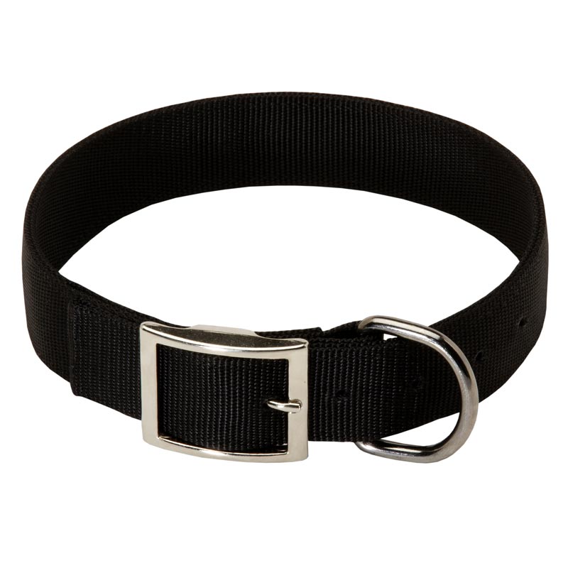 2 Ply Nylon English Pointer Collar