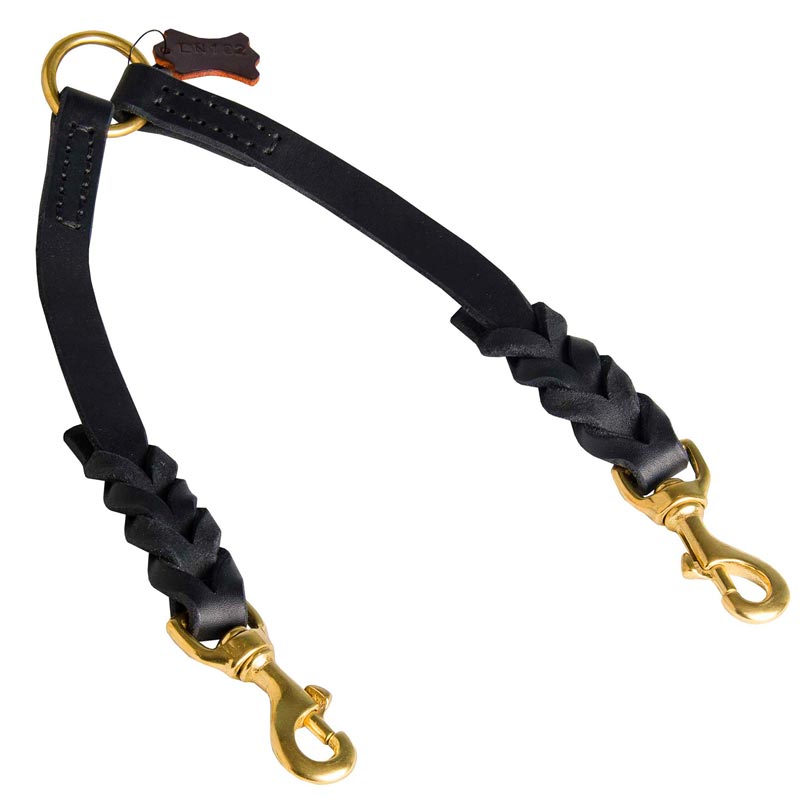 English Pointer Leather Coupler Braided