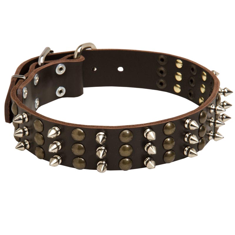English Pointer Leather Dog Collar with Rows of Spikes and Studs