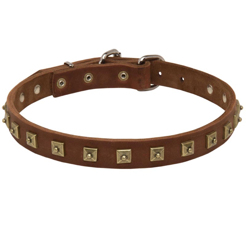 Handcrafted 1 Row Square Studded Leather English Pointer Collar