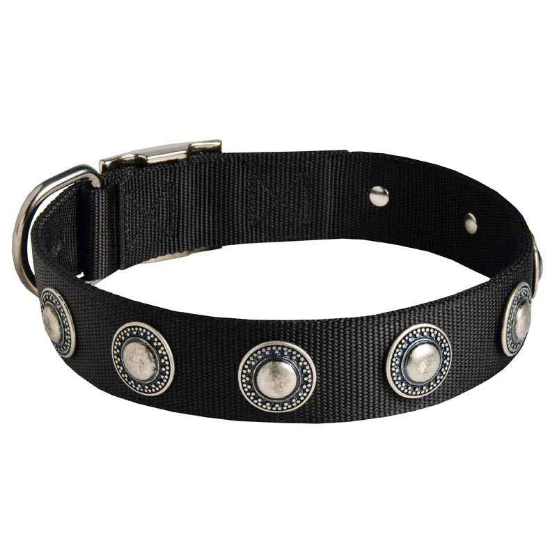 English Pointer Nylon Dog Collar with Circles Decoration