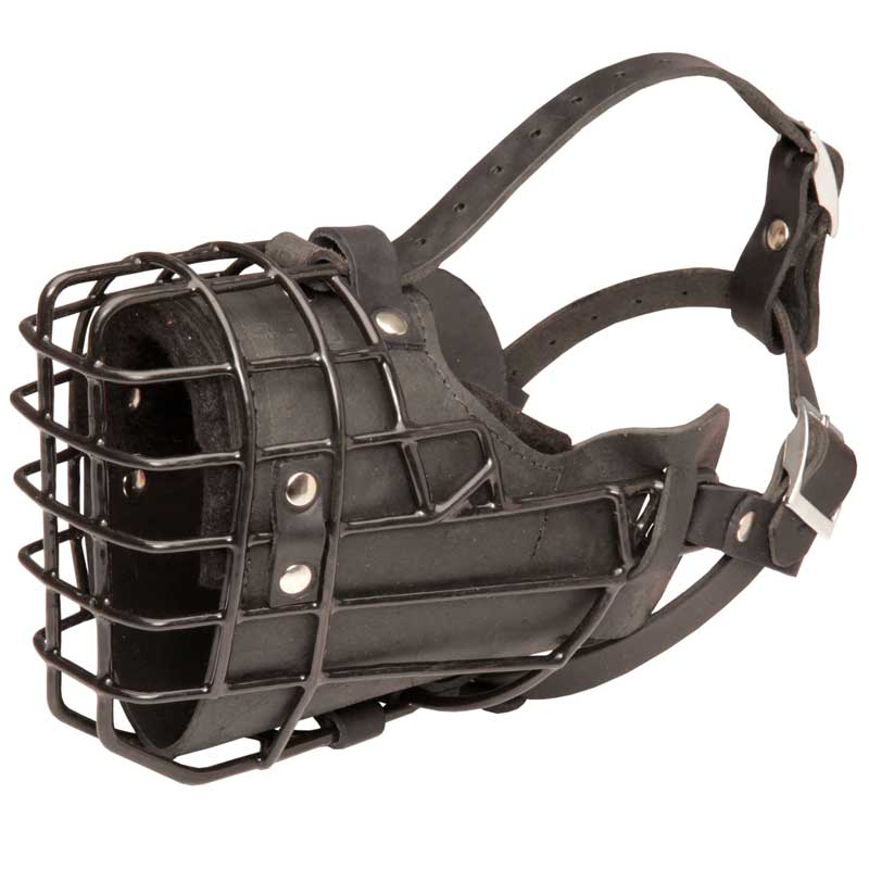 Unique Design Wire English Pointer Muzzle for Winter Activities