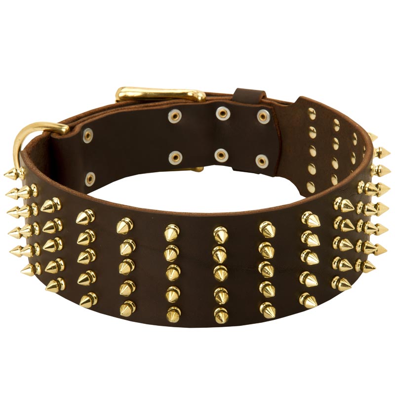 Wide Spiked Leather English Pointer Collar