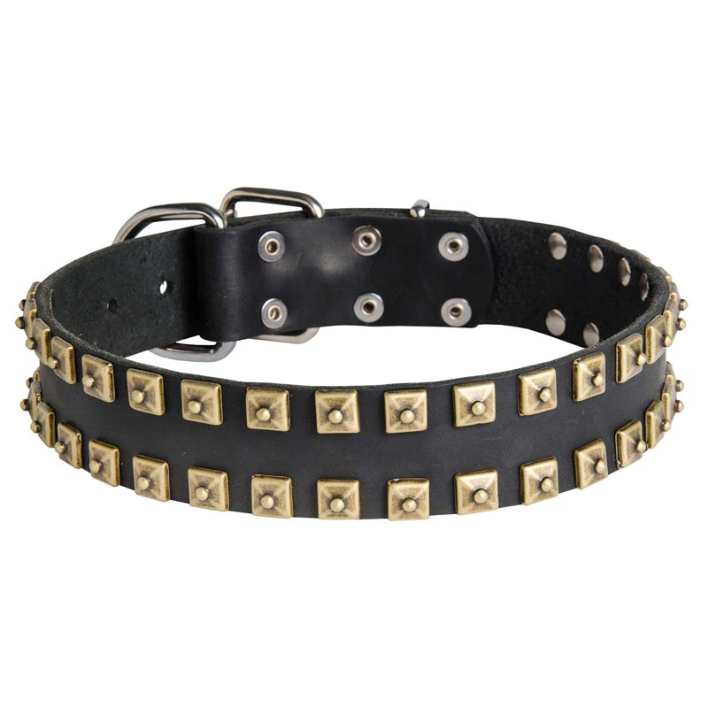 2 Rows Brass Studded Leather English Pointer Collar for Walking and Training