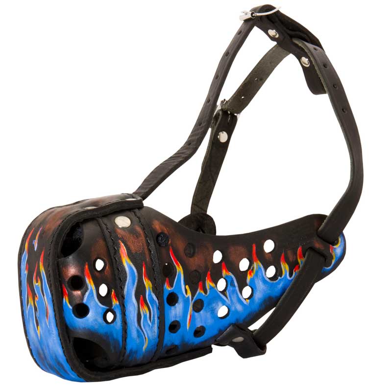 Ergonomic Design Leather English Pointer Muzzle for Agitation Training