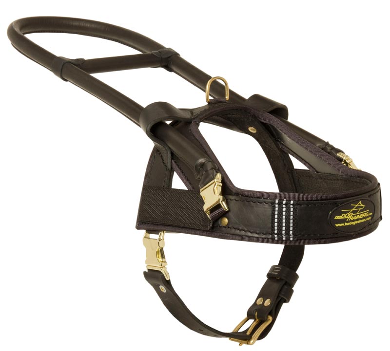 Guide and Assistance Leather English Pointer Harness