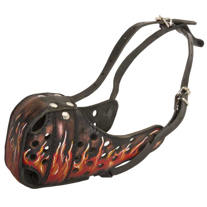 Burning Fire Hand Painted Leather English Pointer Muzzle for Attack Training - Click Image to Close