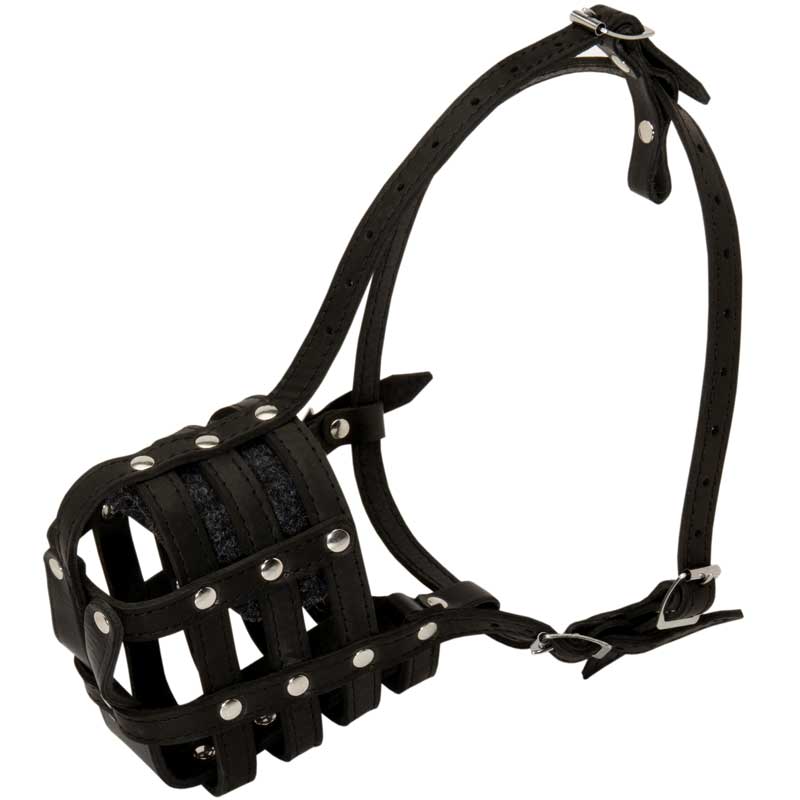 Walking and Training Leather Cage English Pointer Muzzle - Click Image to Close