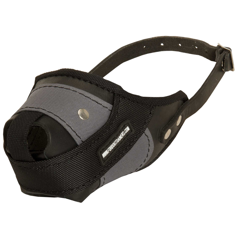 Protection Training English Pointer Muzzle Made of Nylon and Leather