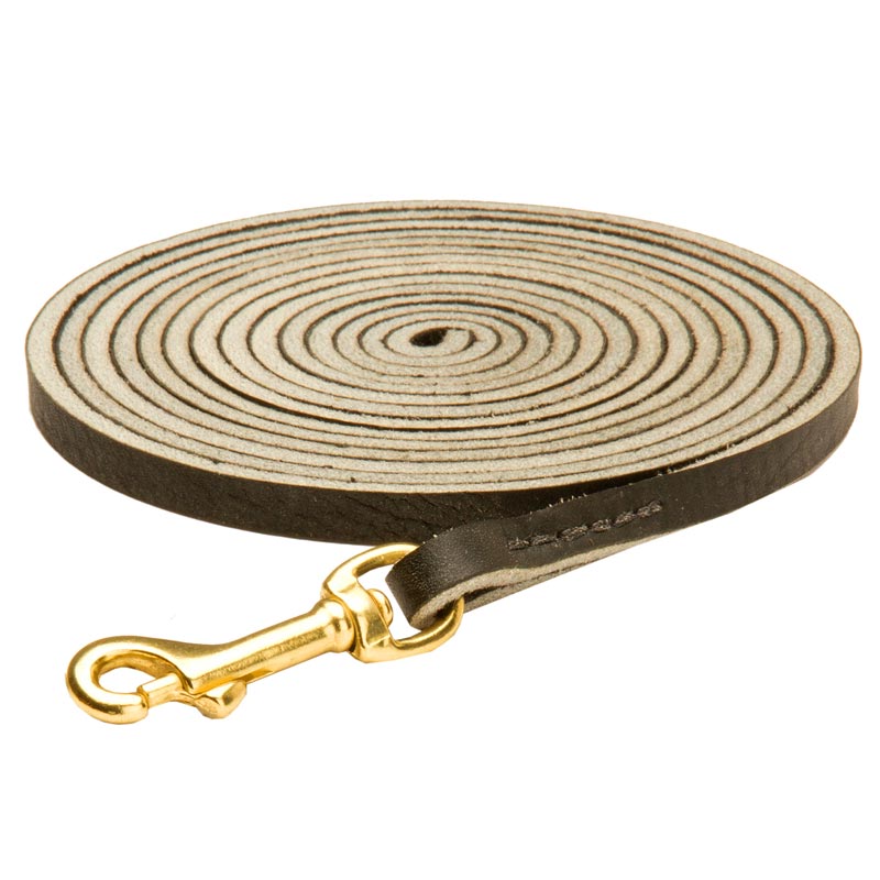 Long Leather English Pointer Leash for Tracking, Training and Walking