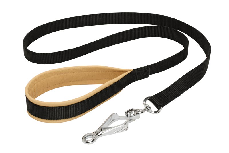 Nylon English Pointer Leash with Support Material on the Handle for Walking and Training